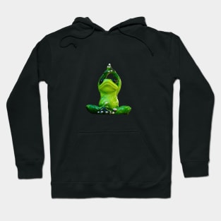 Yoga Frog - Sukhasana Pose Hoodie